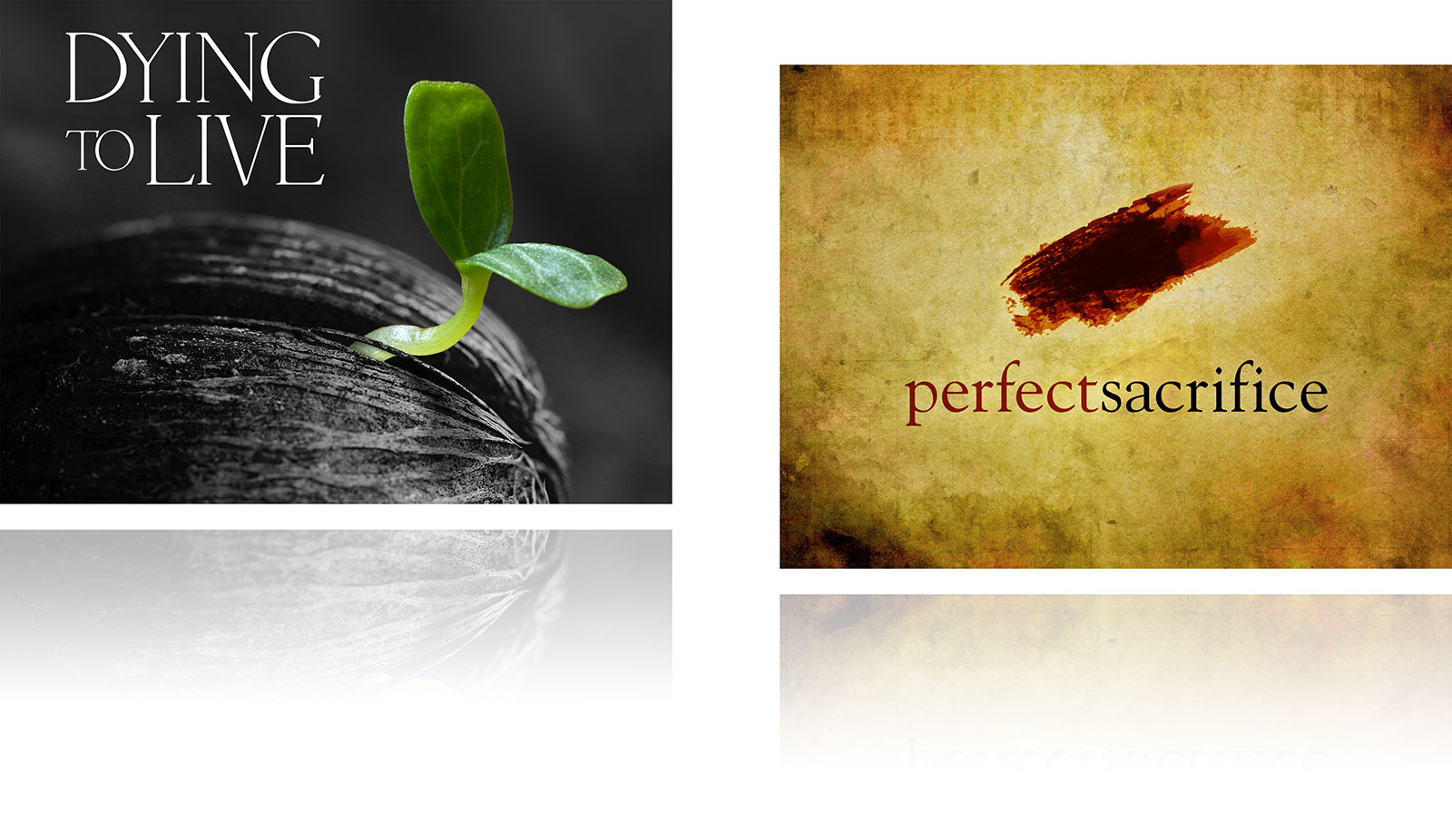 Dying to Live, Perfect Sacrifice PPT slides